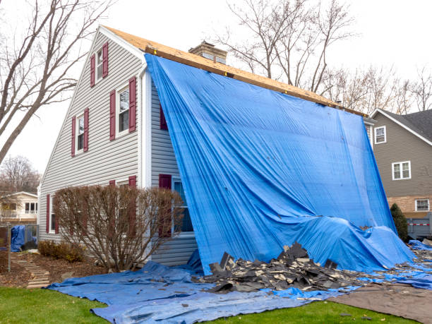 Best Hoarding Cleanup  in , MT