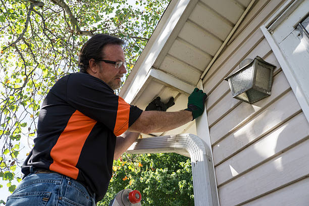 Best Carpet Removal and Disposal  in , MT